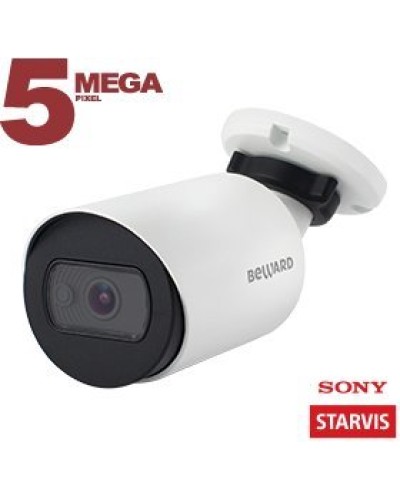 SV3210RC (3.6 мм). Видеокамера IP цилиндрическая. Beward в Кемерово