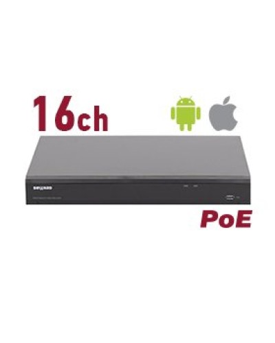 RK2216-P. Видеорегистратор IP 16-канальный. Beward в Кемерово