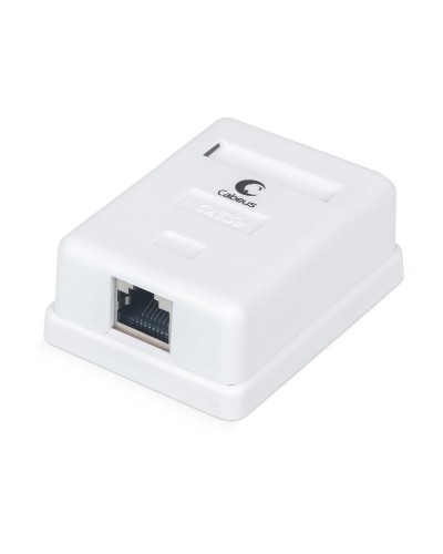 WS-8P8C-Cat.5e-SH-1 (7485c): Розетка RJ-45 в Кемерово