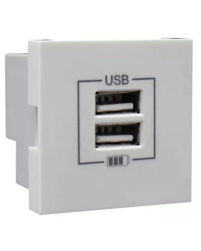 Розетка USB двойная, зарядная, белая (45439 SBR): Розетка USB двойная в Кемерово