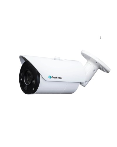 EZN-268V. Видеокамера IP купольная. EverFocus в Кемерово