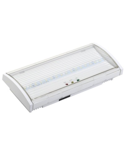 Светильник аварийный ДПА 5040-3 3ч IP54 LIGHTING (LDPA0-5040-3H-K01). Светильник аварийный постоянного действия. IEK в Кемерово