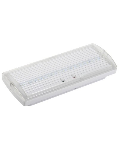 Светильник аварийный ДПА 5030-1 1ч IP20 LIGHTING (LDPA0-5030-1H-K01). Светильник аварийный постоянного действия. IEK в Кемерово