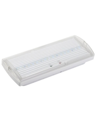 Светильник аварийный ДПА 5030-3 3ч IP20 LIGHTING (LDPA0-5030-3H-K01). Светильник аварийный постоянного действия. IEK в Кемерово
