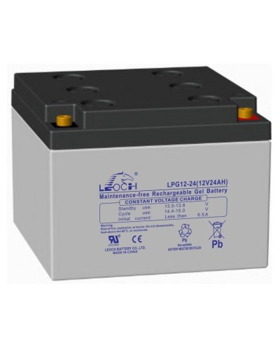 LEOCH LPG 12-24. Аккумулятор герметичный свинцово-кислотный. LEOCH в Кемерово