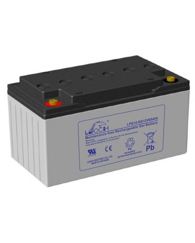 LEOCH LPG 12-65. Аккумулятор герметичный свинцово-кислотный. LEOCH в Кемерово
