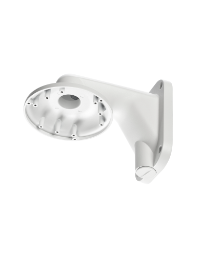 RVi-1BWM-5 white. Кронштейн настенный. RVi в Кемерово