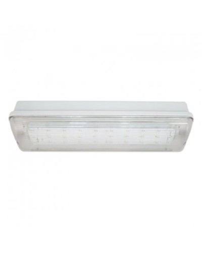 SL-223-30LED1.8 исп. 1, IP65. Светильник аварийного освещения. ИП Раченков А.В. в Кемерово