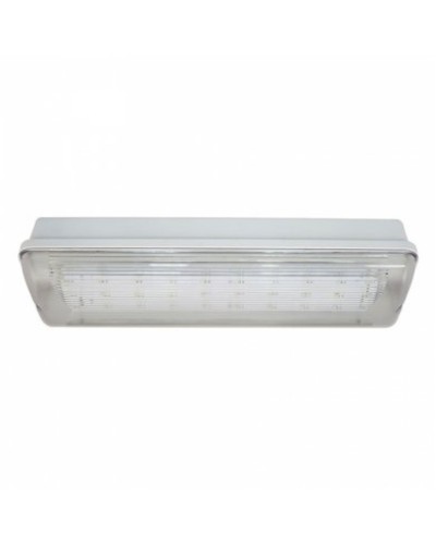SL-213-30LED1.8 исп.1 IP54. Светильник аварийного освещения. ИП Раченков А.В. в Кемерово