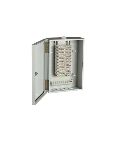 ШРН-В/100-Р (120908-00122). Шкаф ШРН-В/100-Р, плинт ПВТ-10Р-5е. ССД (Связьстройдеталь) в Кемерово